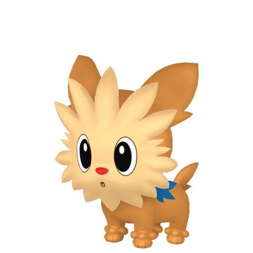 Lillipup