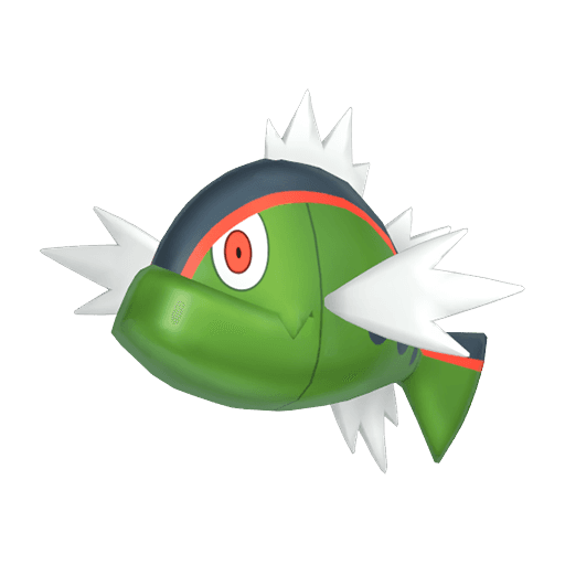Basculin