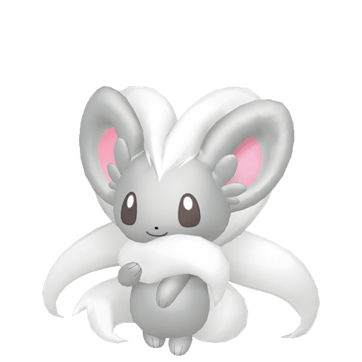 Cinccino