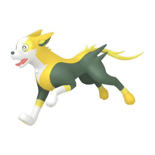 Boltund