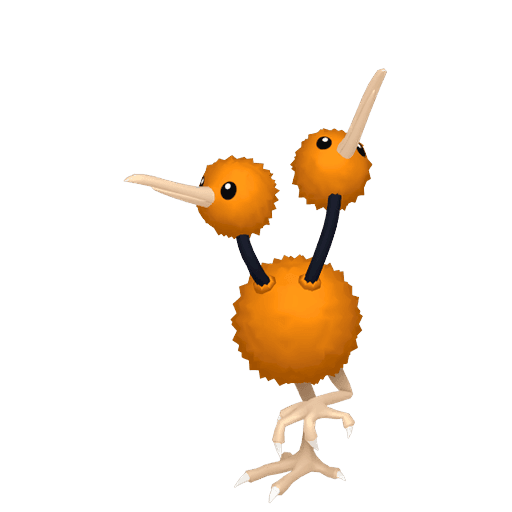 Doduo